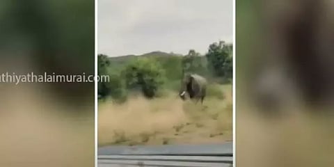 மக்களைப் பார்த்ததும் கோபத்தில் புழுதியைக் கிளப்பிய காட்டு யானை