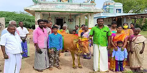 புதுக்கோட்டை: சினையாக இருக்கும் பசுமாட்டிற்கு வளைகாப்பு நடத்திய கிராம மக்கள்