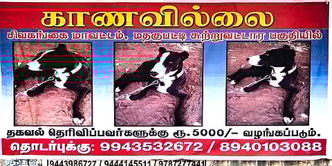 காணாமல் போன நாயை கண்டுபிடித்து தருவர்களுக்கு ரூ.5,000 சன்மானம்: போஸ்டரால் பரபரப்பு