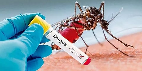 சென்னையில் பரவும் டெங்கு காய்ச்சல்: 13 நாட்களில் 11 பேருக்கு டெங்கு உறுதி