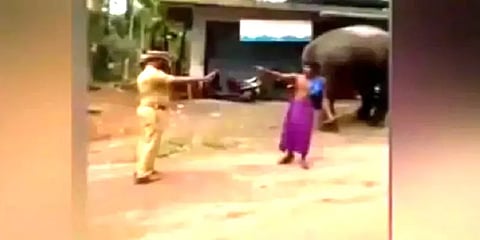 கேரளா: மது போதையில் யானையை வைத்து மக்களை விரட்டிய பாகன் கைது