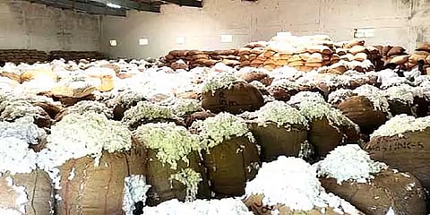 மயிலாடுதுறை: மறைமுக ஏலத்தில் அதிக விலைக்கு விற்பனையான பருத்தி; விவசாயிகள் மகிழ்ச்சி