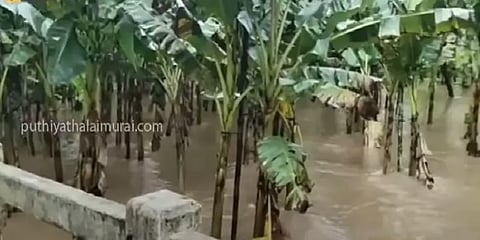 நீலகிரி: சிற்றாறுகளில் வெள்ளப்பெருக்கால் விளைநிலங்களை சூழ்ந்த ஆற்றுநீர்