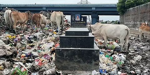 மதுரவாயல்: குப்பைக் காடான சுடுகாடு; சடலங்களை அப்புறப்படுத்த முடியாமல் திணறும் ஊழியர்கள்