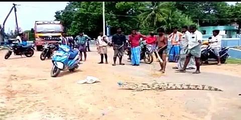 அரியலூர்: கிராம மக்களை அச்சுறுத்திய முதலை பிடிபட்டது