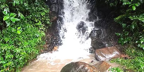 நீலகிரி மலைப்பகுதியில் தொடர் மழை: சாலையோரங்களில் உருவாகியுள்ள புதிய நீர்வீழ்ச்சிகள்