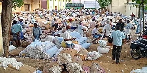 தருமபுரி: வரத்து குறைவு; விலை அதிகம் - பருத்தி விவசாயிகள் மகிழ்ச்சி