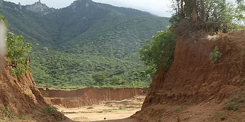 தடாகம் செங்கல்சூளைகளால் இயற்கை சீரழிவா? - தேசிய பசுமைத் தீர்ப்பாயம் தாமாக முன்வந்து வழக்கு