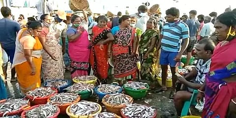 சென்னை: காசிமேட்டில் மீன் வாங்க குவிந்த மக்கள் - காற்றில் பறந்த கொரோனா கட்டுப்பாடுகள்