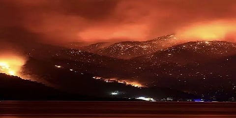 ”துருக்கி எரிந்து கொண்டிருக்கிறது” : கட்டுக்கடங்காமல் பரவும் காட்டுத்தீ- 8 பேர் உயிரிழப்பு