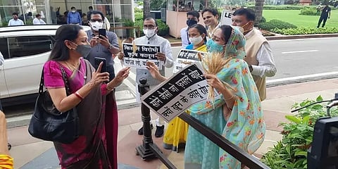 விவசாயிகளுக்கு ஆதரவாக போராட்டம்: பாஜக எம்.பி.க்கு ‘கோதுமை கொத்து’ கொடுத்த ஹர்சிம்ரத் கவுர்