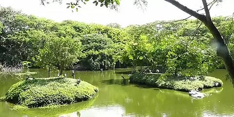 ஓசூர்: தொழிற்சாலை வளாகத்துக்குள் 50 ஏக்கரில் வனப்பகுதியை உருவாக்கிய தனியார் நிறுவனம்