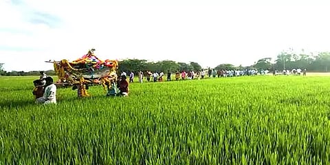 மயானத்திற்கு செல்ல பாதை இல்லை: சடலத்தை வயல்வெளியில் தூக்கிச் செல்லும் அவலம்