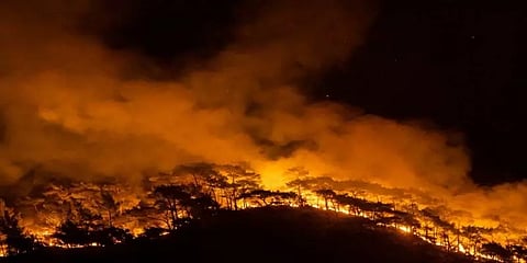 துருக்கி காட்டுத் தீ: 8 பேர் உடல் கருகி உயிரிழப்பு - தப்பிச் செல்லும் மக்கள்