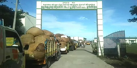 திருவாரூர்: பருத்தி குவிண்டால் 8,300 வரை விலை போவதால் விவசாயிகள் மகிழ்ச்சி