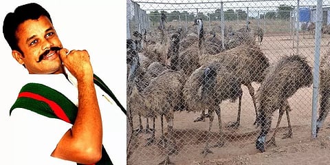 ஈமு கோழி முதலீட்டு மோசடி - யுவராஜ் உள்ளிட்ட மூவருக்கு 10 ஆண்டு சிறை