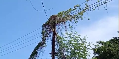 காஞ்சிபுரம்: அமைச்சர் உத்தரவு பின்பற்றப்படுகிறதா? மின்வெட்டால் மக்கள் அவதி