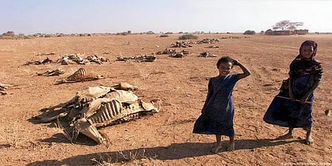 அதி தீவிர மழை, வறட்சி, மீள முடியாத பேரிடர்கள்...- எச்சரிக்கும் ஐபிசிசி அறிக்கை சொல்வதென்ன?