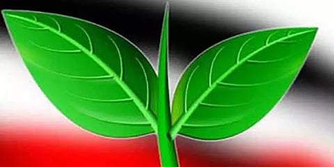 உள்ளாட்சித் தேர்தல்: 9 மாவட்ட நிர்வாகிகளுடன் அதிமுக தலைமை இன்று ஆலோசனை