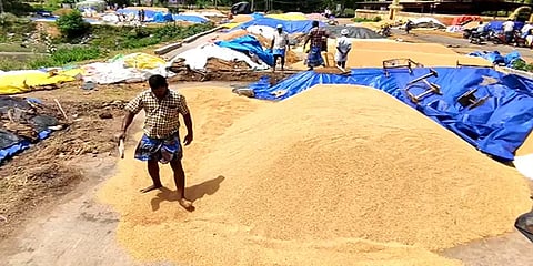 மழையில் நனைந்து 3 ஆயிரம் நெல் மூட்டைகள் சேதம்: நெல் கொள்முதல் செய்ய விவசாயிகள் கோரிக்கை