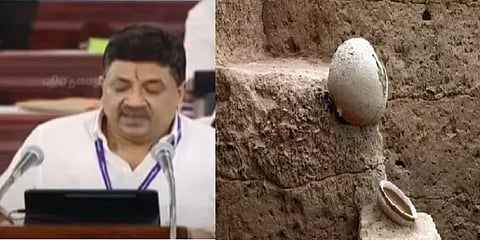 தமிழ்நாடு பட்ஜெட் 2021-22: தொல்லியல் ஆய்வுகளுக்கு ரூ.5 கோடி நிதி ஒதுக்கீடு