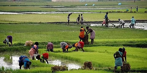 இன்று தாக்கலாகிறது தமிழக அரசின் முதல் வேளாண் பட்ஜெட்