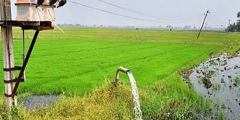 வேளாண் பட்ஜெட் 2021-22: இலவச மின்சாரத் திட்டத்திற்கு ரூ.4,508 கோடி நிதி ஒதுக்கீடு