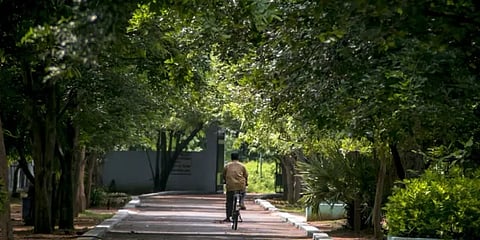 சென்னை சுவாசிக்கும் தூய்மைக் காற்று, காரணம் 'மறைந்திருக்கும்' இந்தக் காடு!- #MadrasDay2021