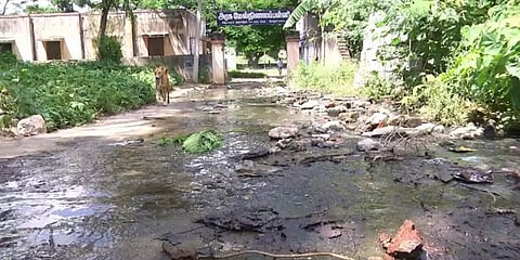 கழிவு நீர் தேங்கும் சாக்கடையாக மாறிய குடியாத்தம் அரசுப்பள்ளியின் அவலநிலை