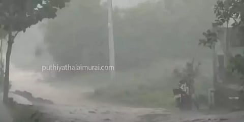 தமிழகத்தில் பெய்யும் தொடர் மழை - மகிழ்ச்சியில் டெல்டா விவசாயிகள்