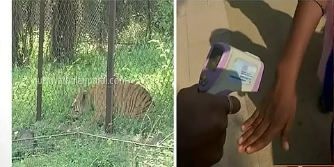 4 மாதங்களுக்குப் பின் வண்டலூர் உயிரியல் பூங்கா திறப்பு - பொதுமக்கள் ஆர்வத்துடன் வருகை