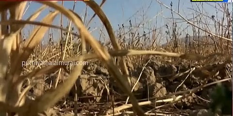 கடும் வறட்சியில் தவித்து வரும் பொலிவியா - தண்ணீருக்காக மோதல்