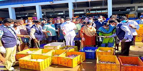 திருச்சி: ரசாயனம் தடவிய மற்றும் கெட்டுப்போன 650 கிலோ மீன்கள் பறிமுதல்