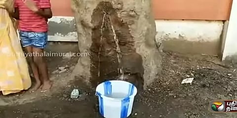 கூட்டு குடிநீர்திட்ட குழாயில் உடைப்பு: மரத்திலிருந்து தண்ணீர்பீறிட்ட சம்பவத்தில் திருப்பம்