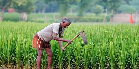 வேளாண் சட்டங்கள் ஏன் எதிரானவை? - பேரவையில் விளக்கமளித்த ஸ்டாலின்