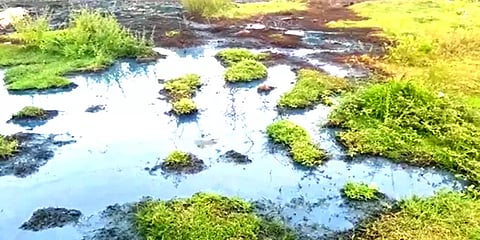 கழிவுநீர் கால்வாயாக மாறிய கிருஷ்ணா நதிநீர் கால்வாய்: மாசை தடுக்க ஆர்வலர்கள் கோரிக்கை