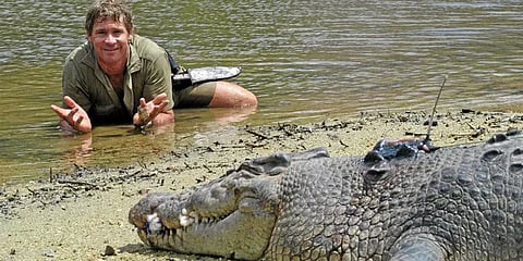 'முதலை வேட்டைக்காரன்' ஸ்டீவ் இர்வினின் நினைவலைகள்!