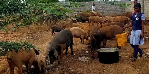 சாதி சான்றிதழ் தர மறுக்கும் அதிகாரிகள்: கேள்விக்குறியான பழங்குடியின மாணவியின் கல்லூரி கனவு