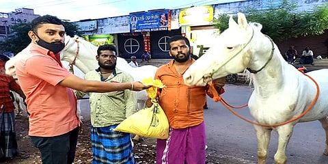 மதுரை: பசியால் பரிதவித்த குதிரைகளுக்கு பாசத்தோடு உணவளித்த மளிகை கடைக்காரர்