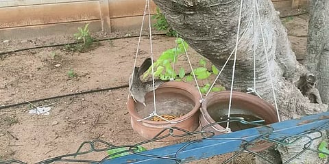 குட்கா விற்ற வழக்கில் கைதான குற்றவாளிகளுக்கு நூதன தண்டனை வழங்கிய திருச்சி நீதிமன்றம்