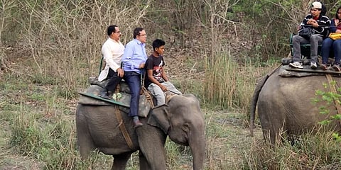 முதுமலை: கனமழையால் யானை சவாரி ரத்து; சுற்றுலாப் பயணிகள் ஏமாற்றம்