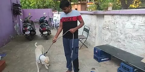 தழைக்கும் மனிதம்: தாயை இழந்து தவிக்கும் நாய் குட்டிகளுக்கு ஆதரவளிக்கும் இளைஞர்