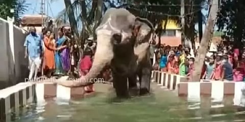 திருச்சி: கோயில் யானைக்கு ரூ.5 லட்சம் செலவில் குளியல் தொட்டி