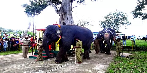 வழக்கமான உற்சாகத்துடன் முதுமலை வளர்ப்பு யானைகள் முகாமில் நடைபெற்ற சதுர்த்தி விழா