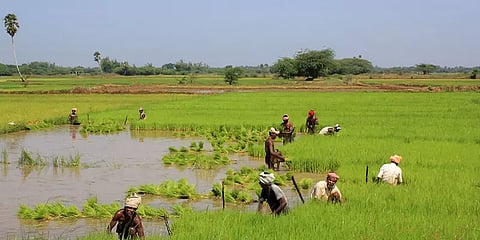 ஓமலூர் : சிறுதானியம் பயிர் செய்வதற்கான விவசாயிகள் பயிற்சி முகாம்