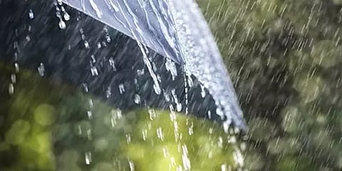 தமிழ்நாட்டின் பல்வேறு மாவட்டங்களில் மழை: விவசாயிகள், பொதுமக்கள் மகிழ்ச்சி