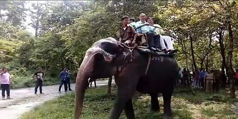 சிலிகுரியில் 18 மாதங்களுக்குப் பின் யானை சவாரி