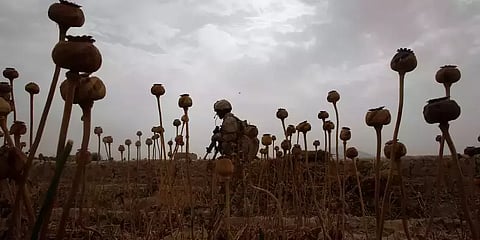 ஹெராயின் கடத்தல்: சந்தேக வலையில் ஆப்கானியர்கள்... விசாரணை நடப்பது எப்படி?