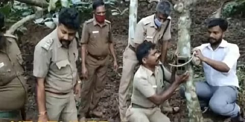 கூடலூர் அருகே மக்களை அச்சுறுத்தும் புலி - 20 இடங்களில் 40 தானியங்கி கேமராக்கள் பொருத்தம்