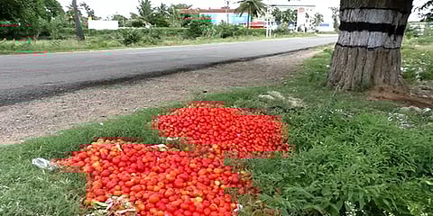 விளைச்சல் இருந்தும் விலையில்லை: தக்காளியை சாலையோரம் கொட்டும் தருமபுரி விவசாயிகள்